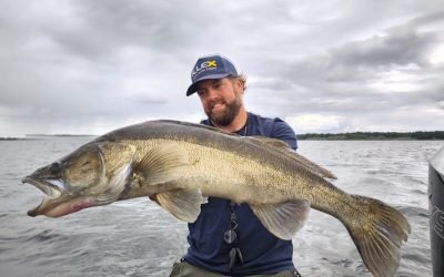 Guide de pêche au lac du Der : les secrets d’un guide professionnel