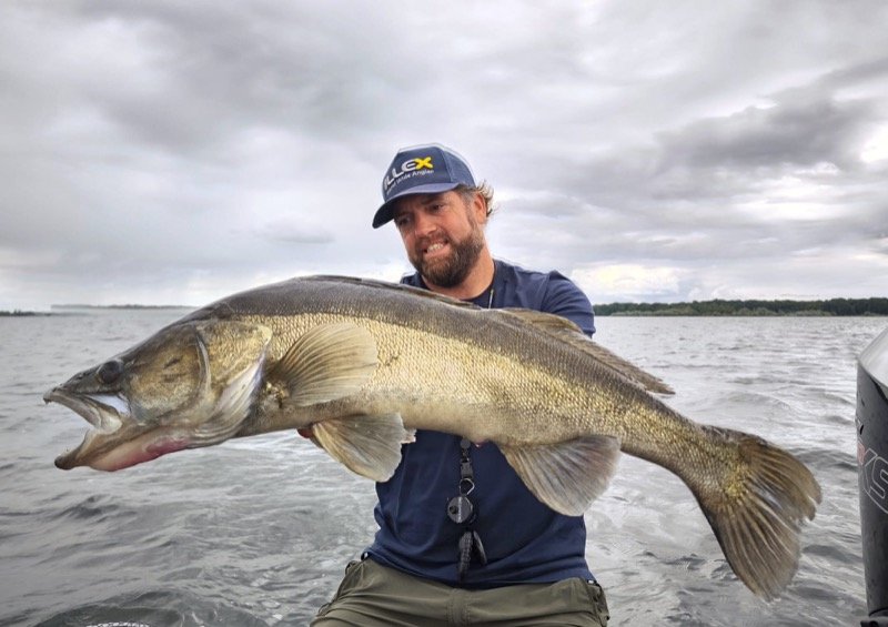 Guide de pêche au lac du Der : les secrets d’un guide professionnel