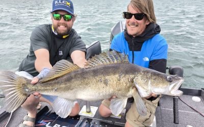 Pêche aux leurres au lac du Der : conseils d’un guide pour les carnassiers