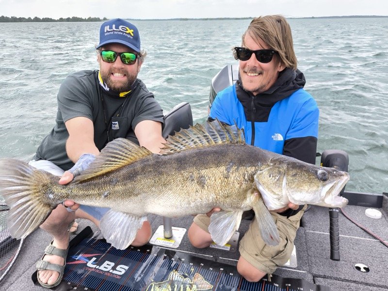 Pêche aux leurres au lac du Der : conseils d’un guide pour les carnassiers