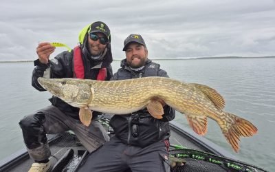 Pêcher le brochet au lac du Der : conseils d’un guide passionné