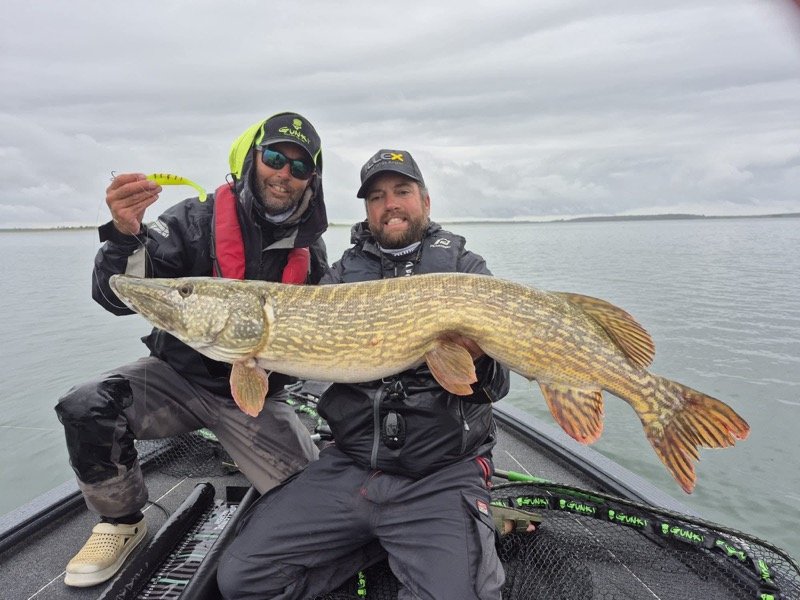 Pêcher le brochet au lac du Der : conseils d’un guide passionné