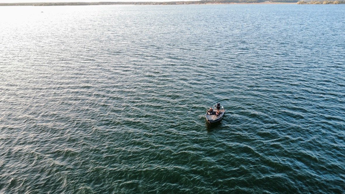 Lac du Der